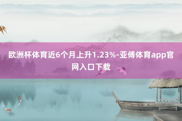 欧洲杯体育近6个月上升1.23%-亚傅体育app官网入口下载