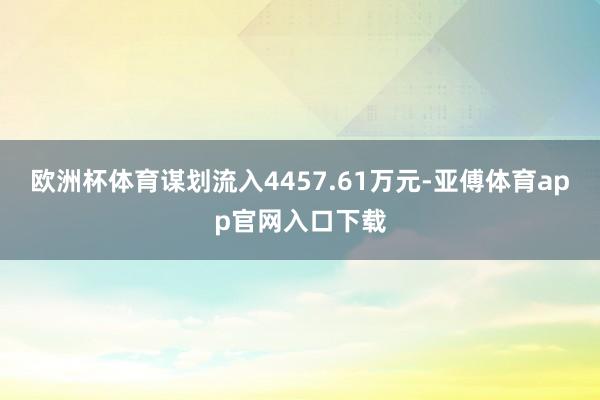 欧洲杯体育谋划流入4457.61万元-亚傅体育app官网入口下载