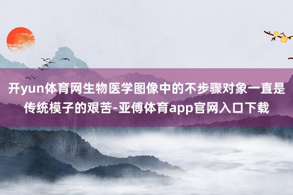 开yun体育网生物医学图像中的不步骤对象一直是传统模子的艰苦-亚傅体育app官网入口下载