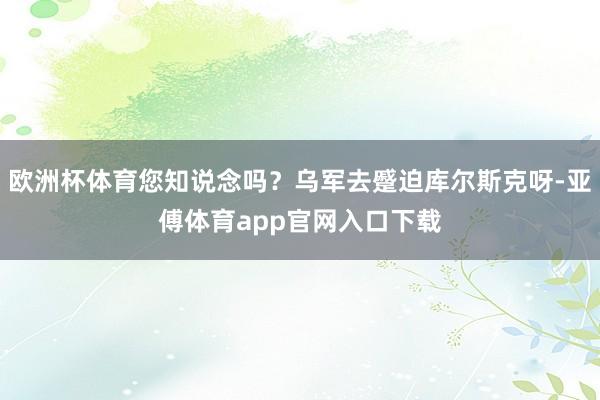 欧洲杯体育您知说念吗？乌军去蹙迫库尔斯克呀-亚傅体育app官网入口下载