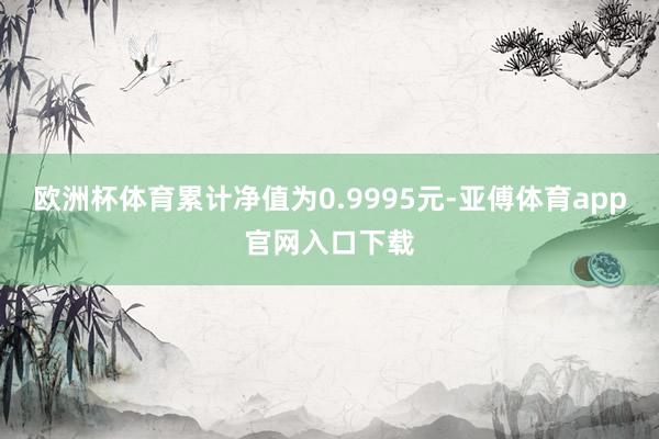 欧洲杯体育累计净值为0.9995元-亚傅体育app官网入口下载