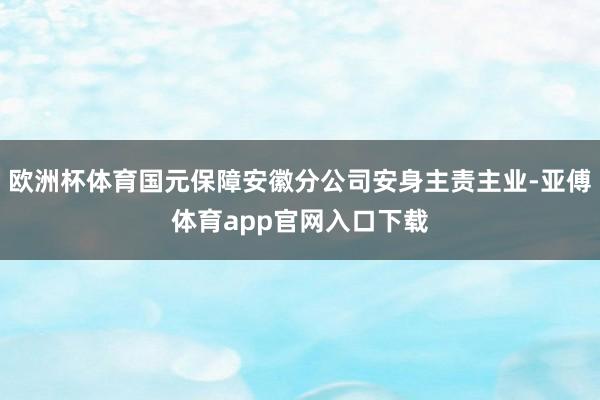 欧洲杯体育国元保障安徽分公司安身主责主业-亚傅体育app官网入口下载