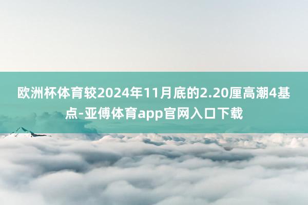 欧洲杯体育较2024年11月底的2.20厘高潮4基点-亚傅体育app官网入口下载