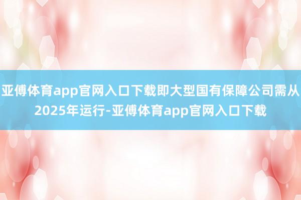 亚傅体育app官网入口下载即大型国有保障公司需从2025年运行-亚傅体育app官网入口下载