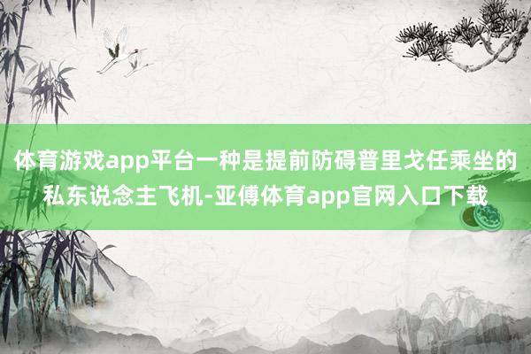 体育游戏app平台一种是提前防碍普里戈任乘坐的私东说念主飞机-亚傅体育app官网入口下载