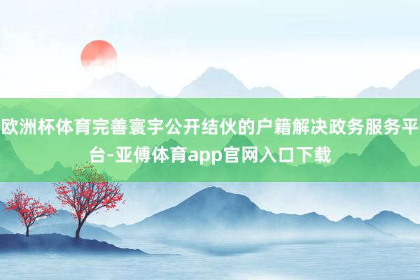 欧洲杯体育完善寰宇公开结伙的户籍解决政务服务平台-亚傅体育app官网入口下载